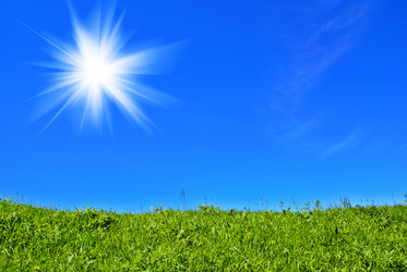 Similar image 226696