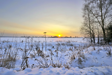 Similar image 226704