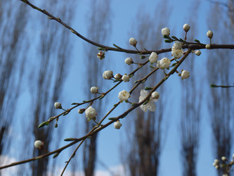 Similar image 226713