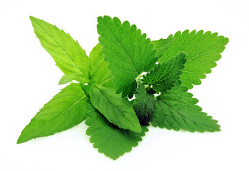 Similar image 226714