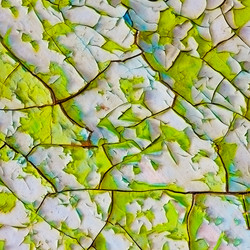 Similar image 226719