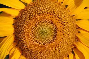 Similar image 226760