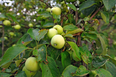 Similar image 226766