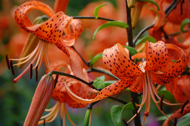 Similar image 226800