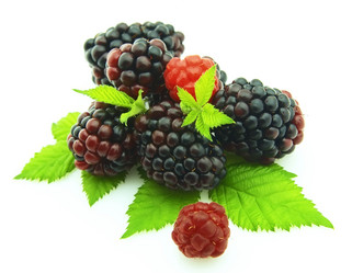 Similar image 226814