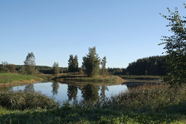 Similar image 226826