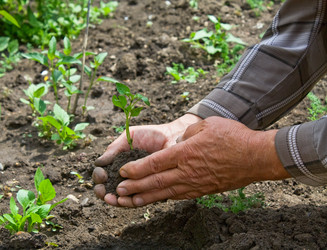 Similar image 226849