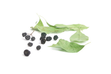 Similar image 226862