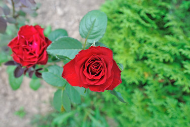 Similar image 226946