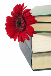 Similar image 226947