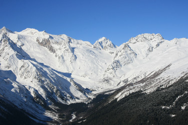 Similar image 226949