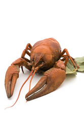 Similar image 226990