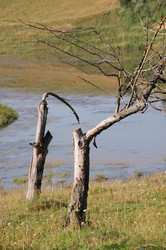 Similar image 227055