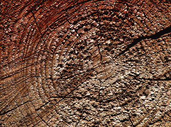 Similar image 227059