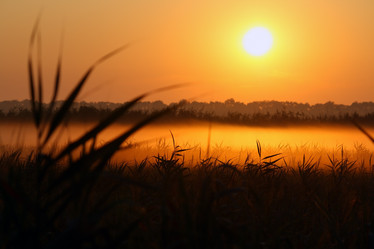 Similar image 227071