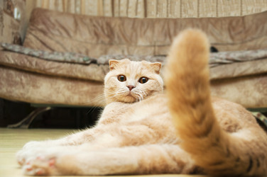 Similar image 227163