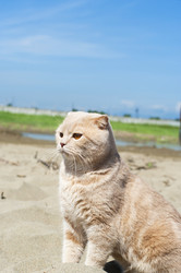 Similar image 227165