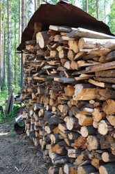 Similar image 227196