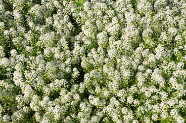 Similar image 227197