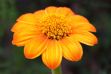 Similar image 227227