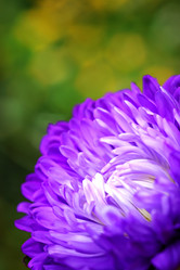 Similar image 227228