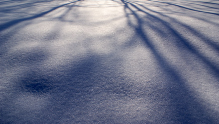 Similar image 227263