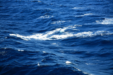 Similar image 227265