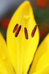 Similar image 227273