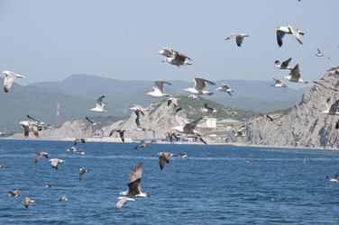 Similar image 227276