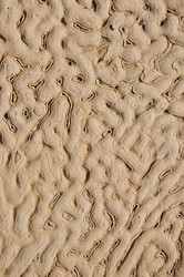 Similar image 227282