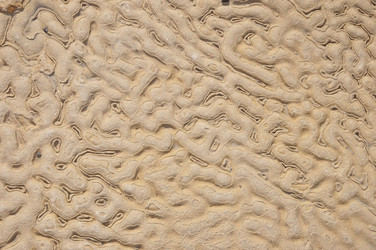 Similar image 227285