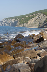 Similar image 227286