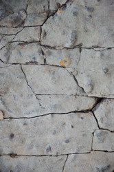 Similar image 227288