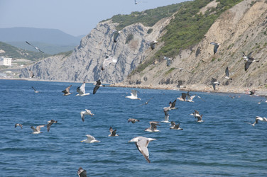 Similar image 227289