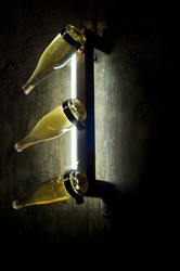 Similar image 227290