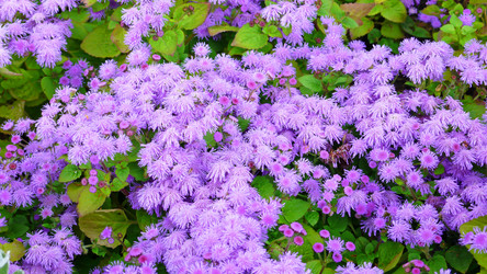 Similar image 227293