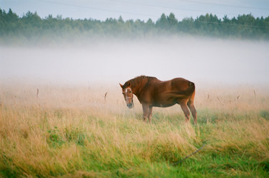 Similar image 227314