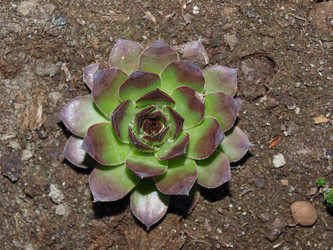 Similar image 227321