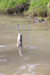 Similar image 227335