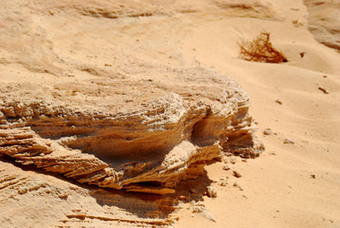 Similar image 227386