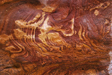 Similar image 227387