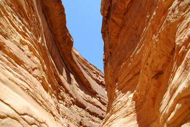 Similar image 227388