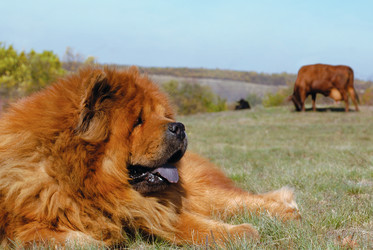 Similar image 227428