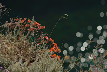 Similar image 227434