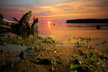 Similar image 227435