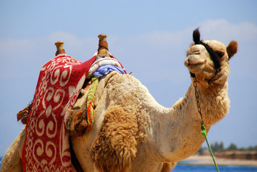 Similar image 227449