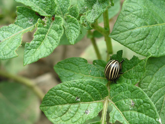 Similar image 227453