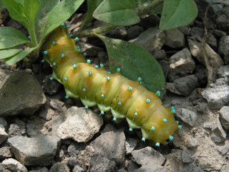 Similar image 227455