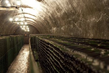 Similar image 227458