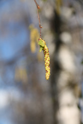 Similar image 227470